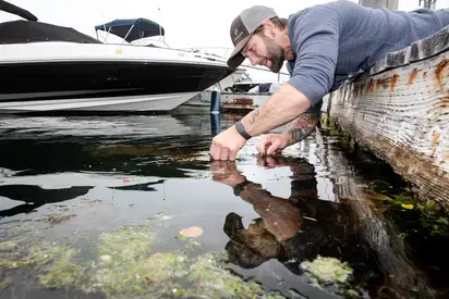 Worker takes water quality samples