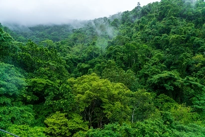 Puntarenas Province, Costa Rica
