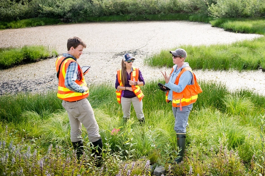 WSDOT Wetlands Internship